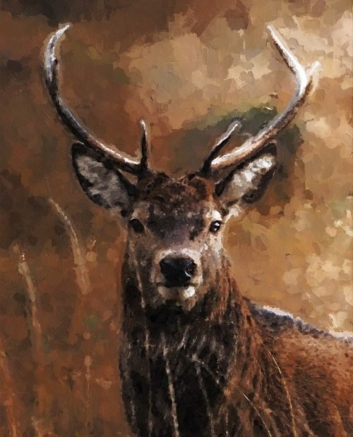 oil-painting-5257454_1280.jpg